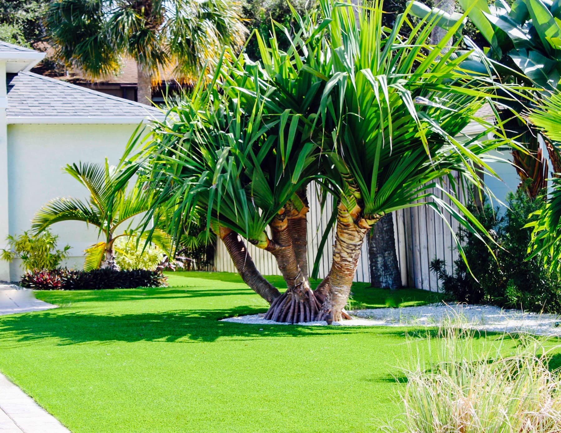 Front Lawn