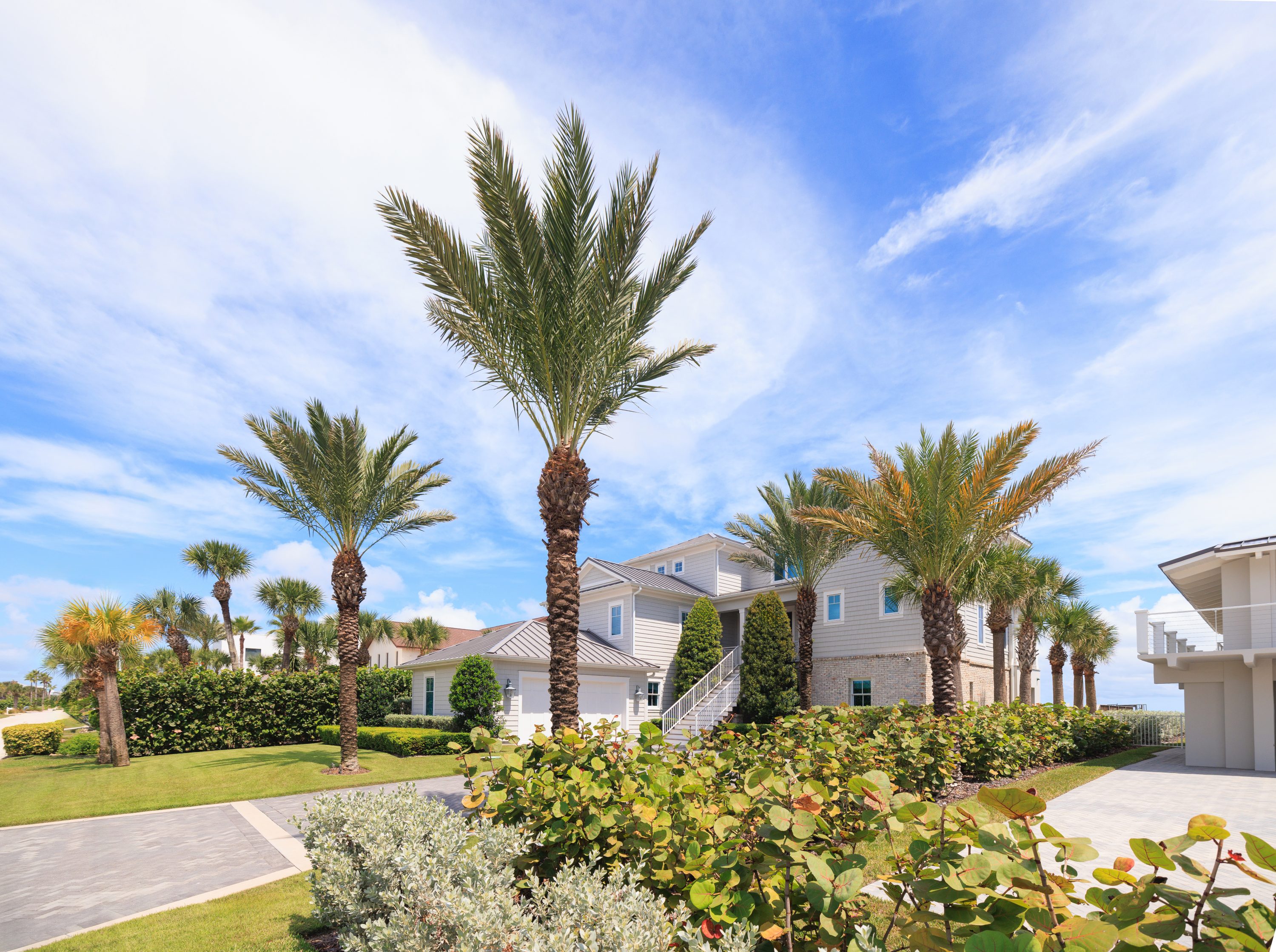 South Beach Compound