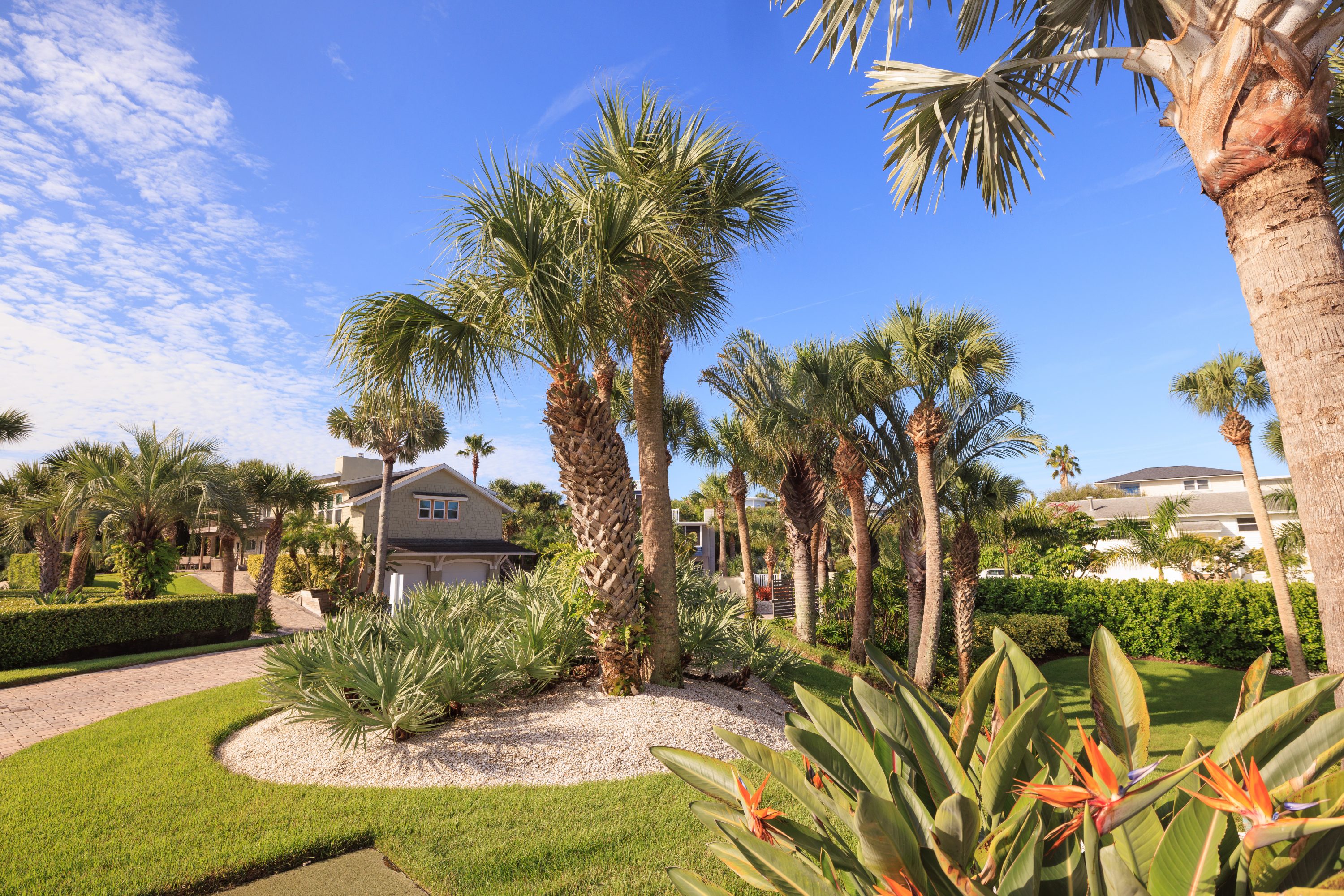 The Dunes Compound